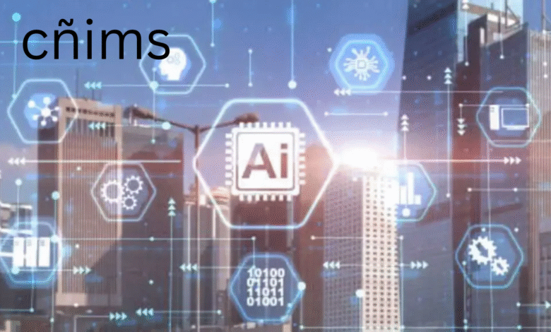 What Is cñims? A Friendly Guide to Meaning, Uses, and Best Practices