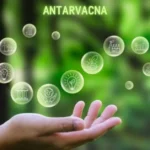 Understanding Sodiceram: A Complete Guide to This Revolutionary Material