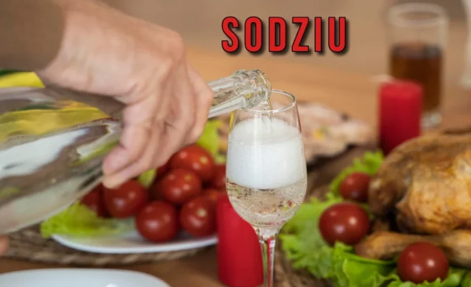 What is Sodziu and Why is Everyone Talking About It?