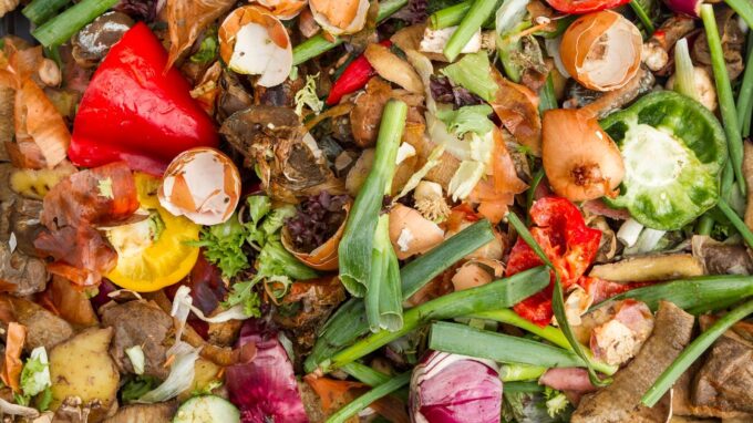 How to Manage Food Waste for a Greener Future Inspider