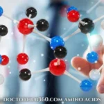 Doctorhub360.com Amino Acids: The Ultimate Guide