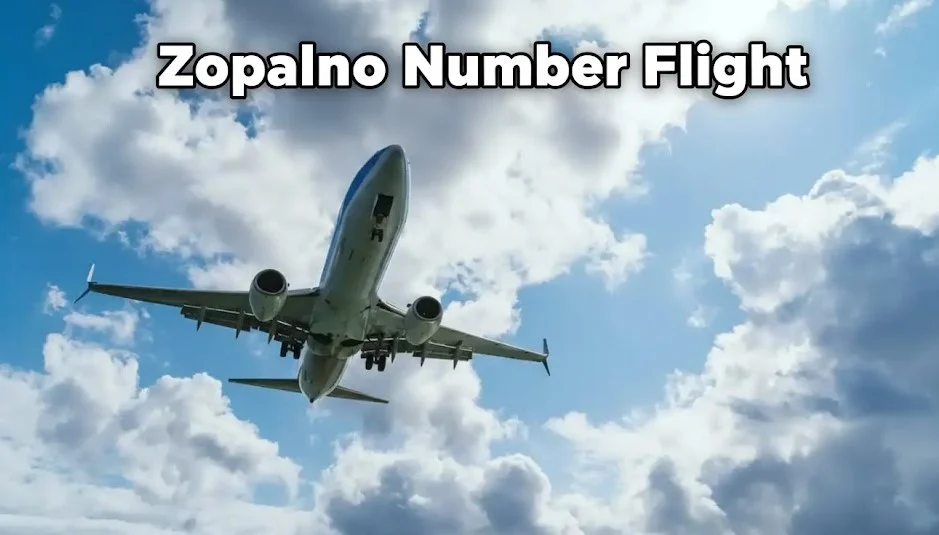 What is Zopalno Number Flight? Everything You Need to Know