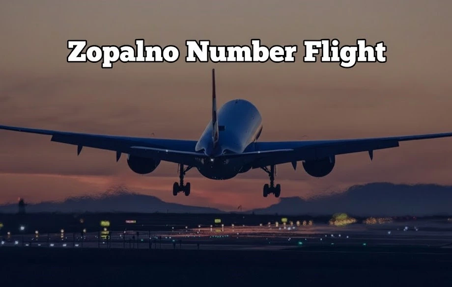 What is Zopalno Number Flight? Everything You Need to Know