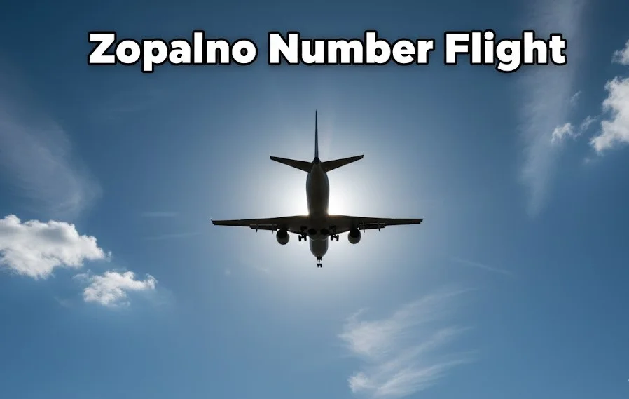 What is Zopalno Number Flight? Everything You Need to Know